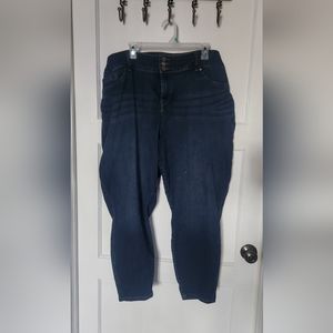 Torrid Jeggings